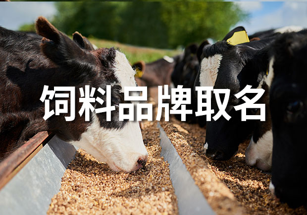 飼料品牌取什么名字好？