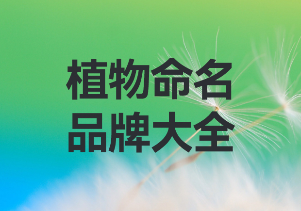 以植物命名的品牌有哪些？